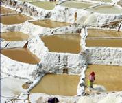Salt Field Peru